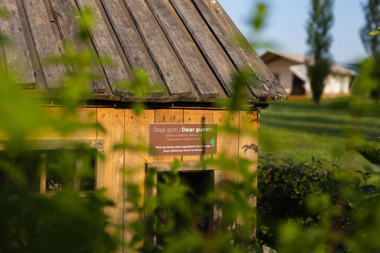 Glamping Kolpa Resort Gradac Ngoại thất bức ảnh